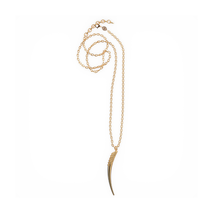 Horn 18k gold vermeil necklace with pendant